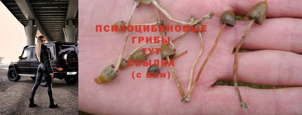 таблы Армянск