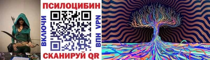 mega зеркало  Гатчина  Псилоцибиновые грибы мухоморы  как найти  