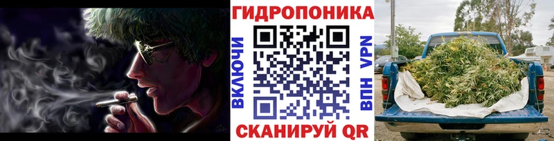 МАРИХУАНА Amnesia Гатчина